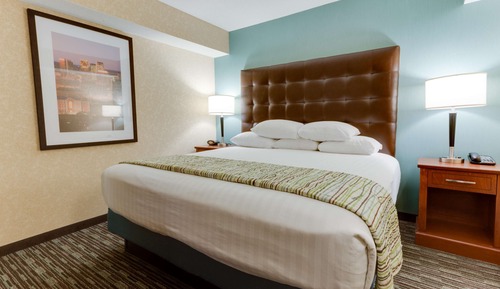 Suite, 1 King Bed with Sofa bed, Refrigerator & Microwave (2 Rooms)