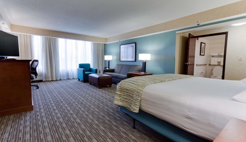 Deluxe Room, 1 King Bed with Sofa bed, Refrigerator & Microwave