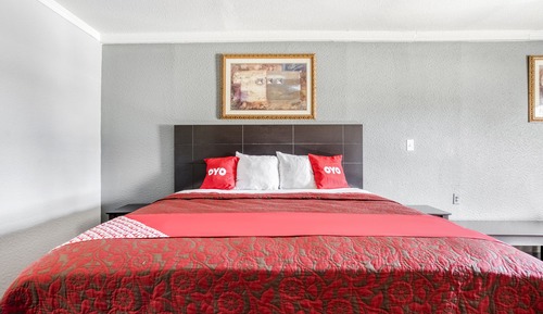 Room, 1 King Bed