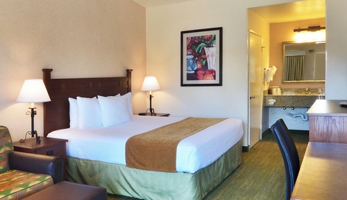 Standard Room, 1 King Bed