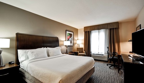 Room, 1 King Bed