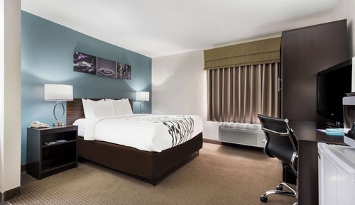 Room, 1 Queen Bed, Non Smoking