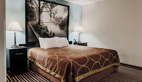 Standard Single Room, 1 King Bed