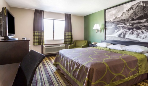 Room, 1 King Bed, Non Smoking, Microwave