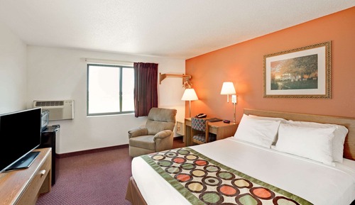 Room, 1 King Bed