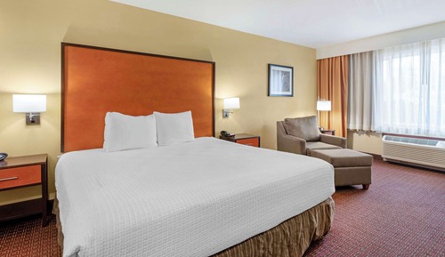 Standard Room, 1 King Bed, Accessible, Refrigerator & Microwave