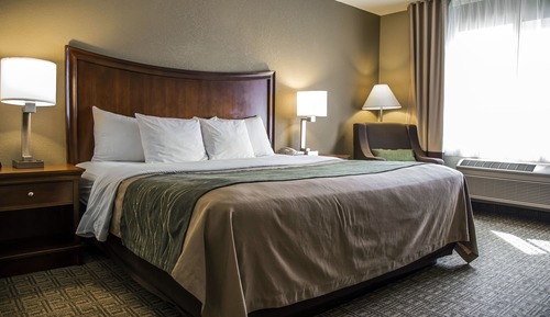 Standard Room, 1 King Bed