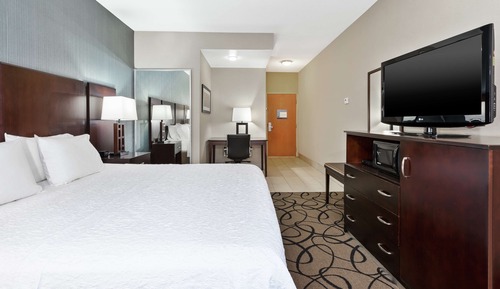 Room, 1 King Bed, Accessible (3x3 Shower)