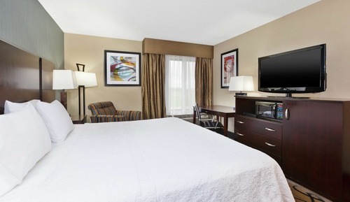 Standard Room, 1 King Bed, Refrigerator & Microwave
