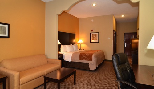 Suite, 1 King Bed, Non Smoking