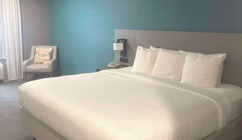 Standard Room, 1 King Bed, Non Smoking