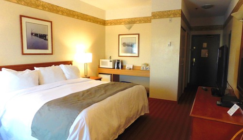 Standard Single Room, 1 King Bed