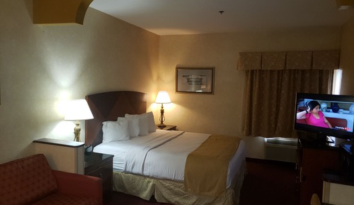 One Bed Suite