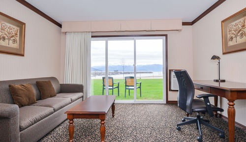 Standard Room, 1 King Bed, Kitchenette, Lake View (with Sofabed)