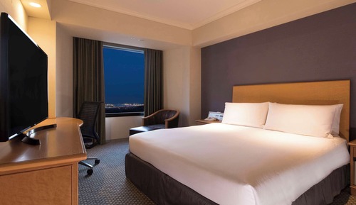Queen Guest Room