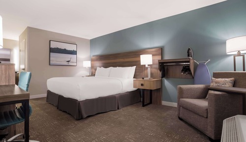Standard Room, 1 King Bed, Accessible, Refrigerator & Microwave