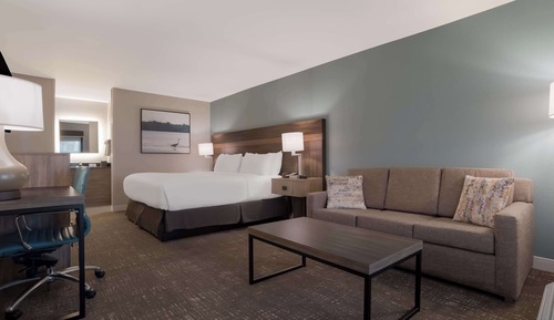 Standard Room, 1 King Bed, Non Smoking, Refrigerator & Microwave