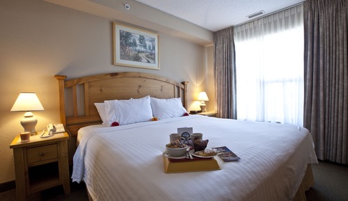 Suite, 1 Bedroom