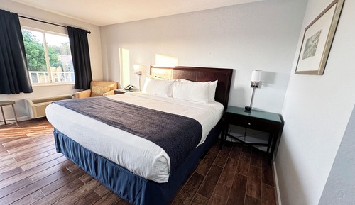 Standard Room, 1 King Bed, Non Smoking