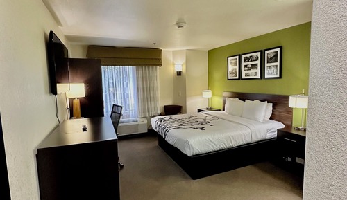 Standard Room, 1 King Bed, Non Smoking