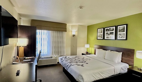 Suite, 2 Bedrooms (1 King Bed and 1 Sofa Bed)