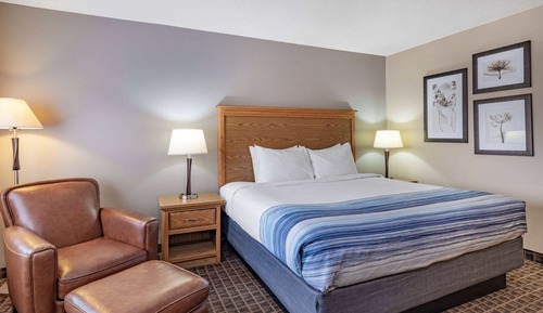 Room, 1 King Bed, Non Smoking