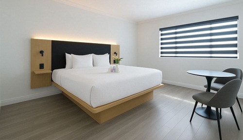 1 King Bed Roll-in Shower (Accessible)