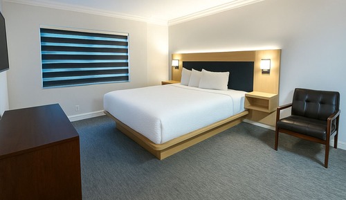 One Bedroom Suite with Kitchenette and Living room, 1 King Bed