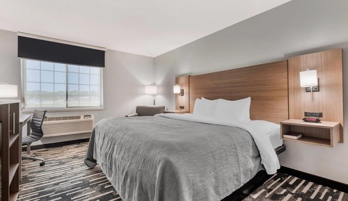 Standard Room, 1 King Bed, Non Smoking