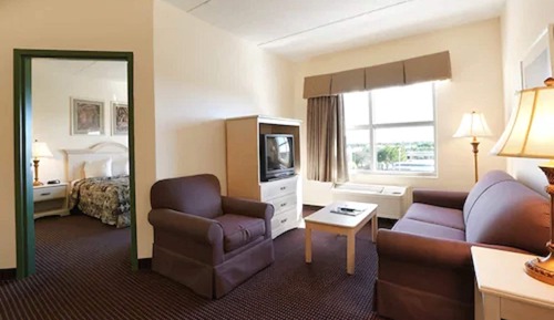 Standard Suite, 1 King Bed with Sofa bed