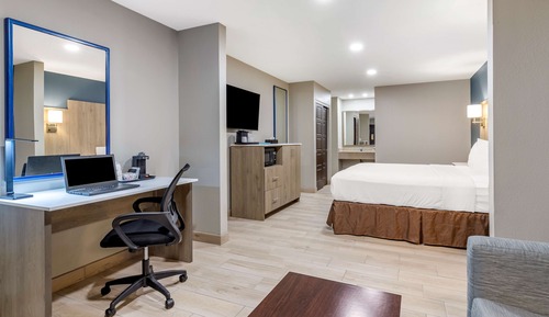 Standard Room, 1 King Bed, Non Smoking, Refrigerator & Microwave