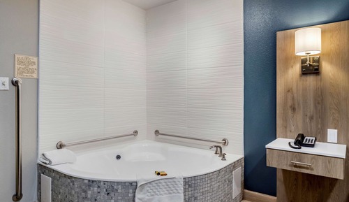 Standard Room, 1 King Bed, Accessible, Jetted Tub (Walk-in Shower)