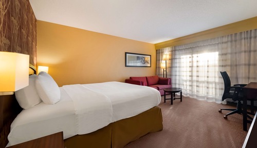 Superior Suite, 1 King Bed with Sofa bed (One Bedroom)