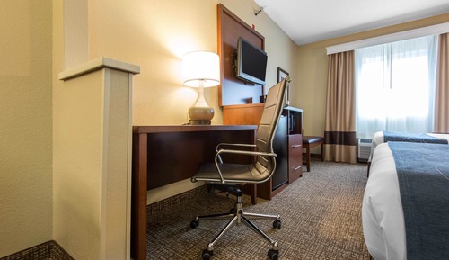 Suite (2 Queen Beds and  1 Sofa Bed )