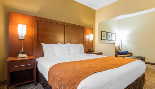 Suite, 1 King Bed with Sofa bed
