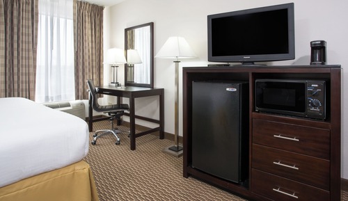 Suite, 1 King Bed with Sofa bed