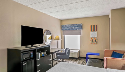 Room, 1 King Bed, Accessible, Non Smoking