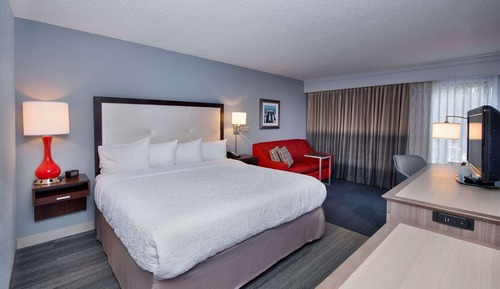 Room, 1 King Bed, Non Smoking (Study)