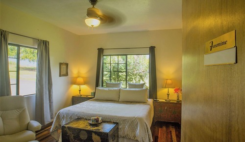 Standard Room, 1 King Bed, Garden View