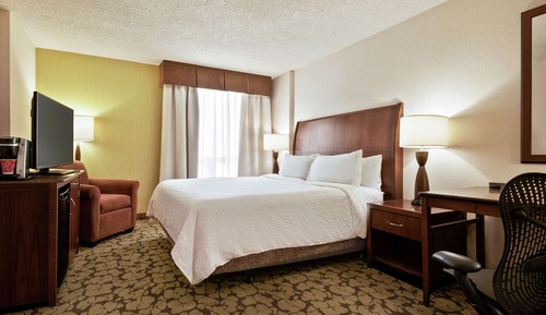 Room, 1 King Bed, Accessible