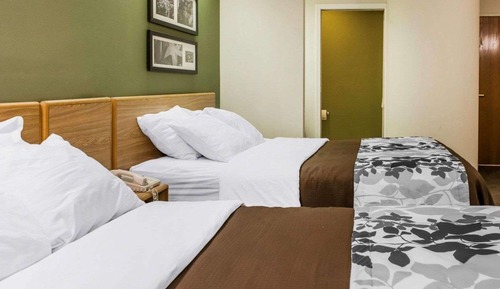 Standard Room, 2 Double Beds