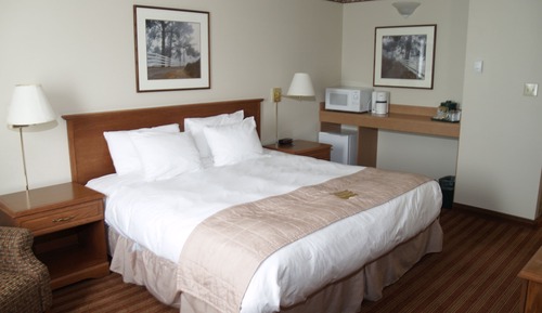 Traditional Single Room, 1 King Bed