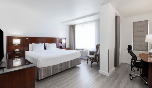 Executive Room, 1 King Bed