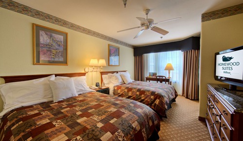 Suite, 1 Bedroom