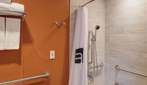 Room, 1 King Bed (Mobility/Hearing Access, Roll-In Shwr)