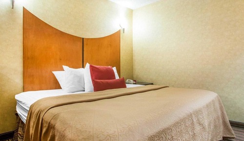 Suite, 1 King Bed