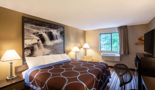 Room, 1 King Bed