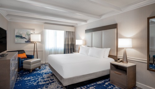 Suite, 1 King Bed