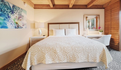 Standard Room, 1 King Bed (Tropical)
