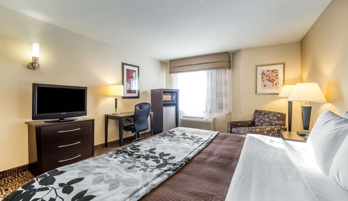 Standard Room, 1 King Bed, Non Smoking